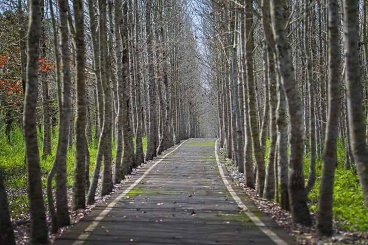 Rabbit Forest B&B Ruisui Luaran gambar